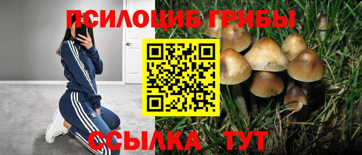 Галлюциногенные грибы MAGIC MUSHROOMS  Псилоцибиновые грибы Cubensis  Вход с VPN  Луга 