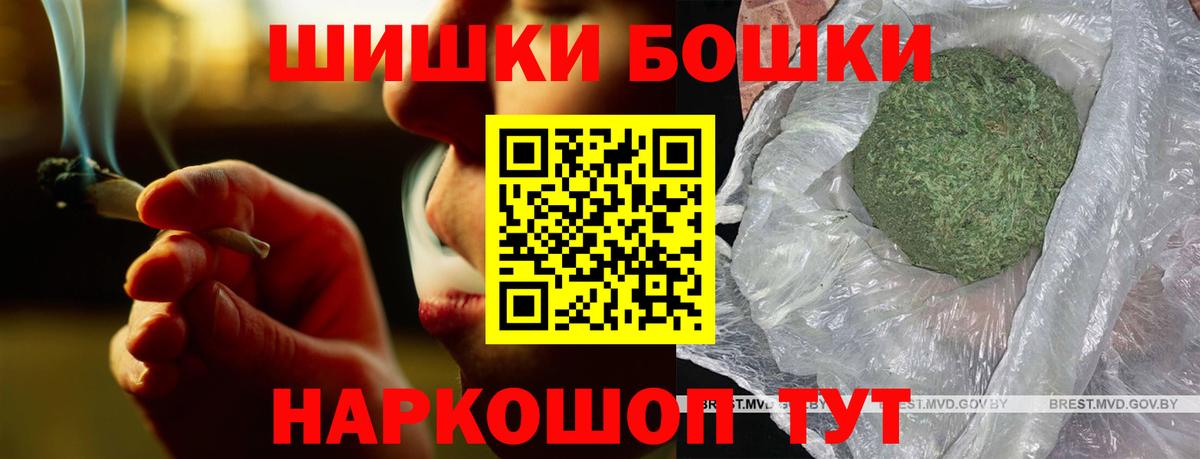 A PVP Луга